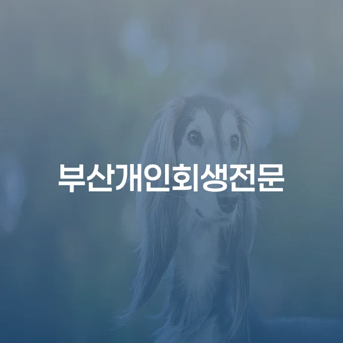 울주군 회생제도 개인회생 제도 해결할 수 있을까?
