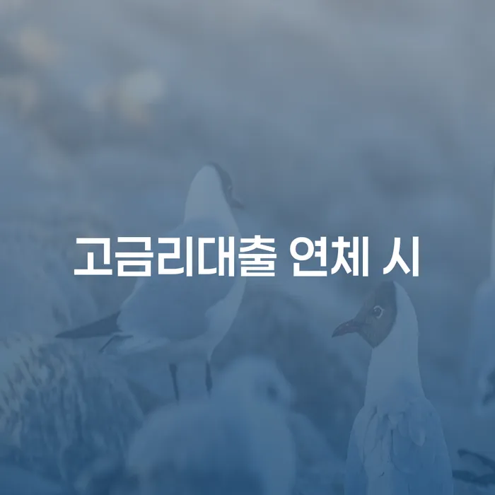 서대문구 부채증명원발급 개인파산 핵심요약