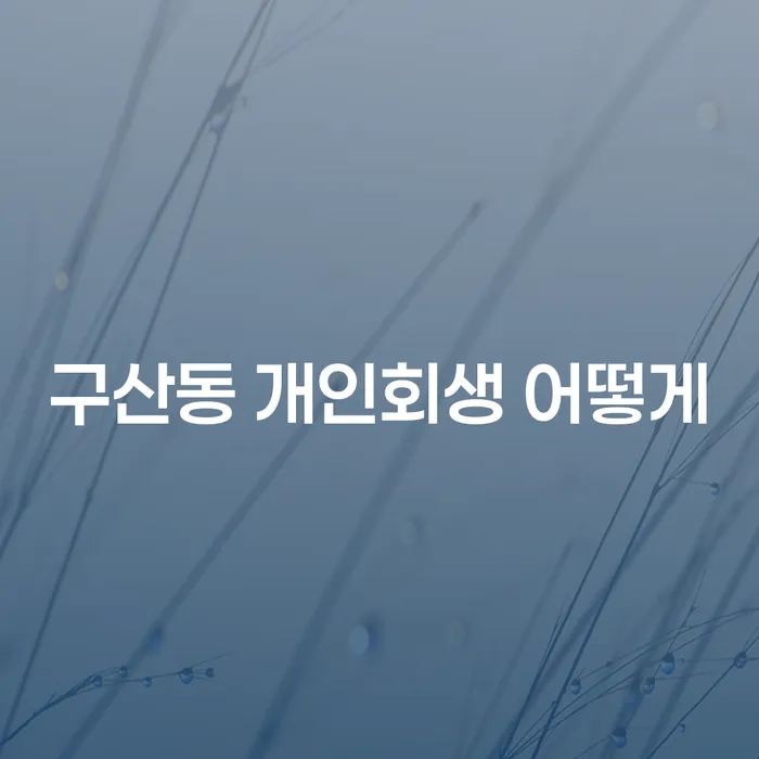 구산동 개인회생 어떻게