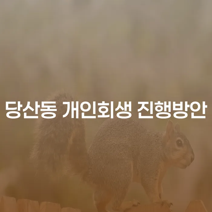 당산동 개인회생 진행방안