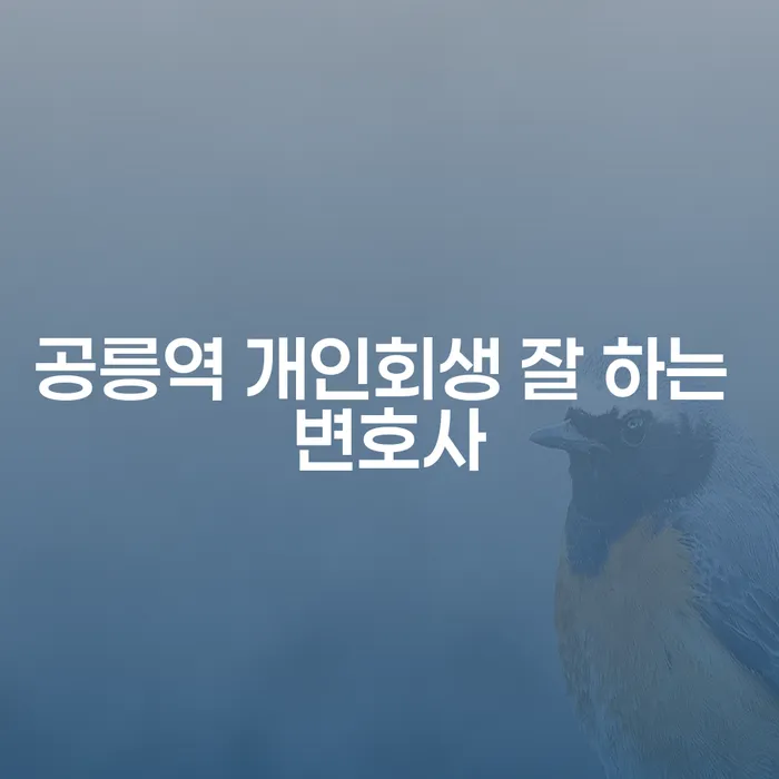 공릉역 개인회생 잘 하는 변호사