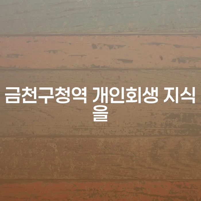 금천구청역 개인회생 지식을
