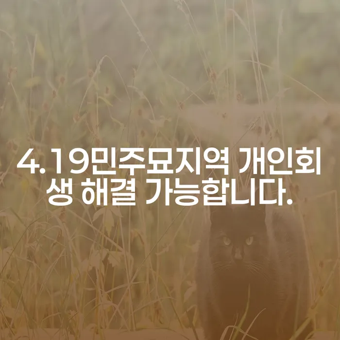 4.19민주묘지역 개인회생 해결 가능합니다.