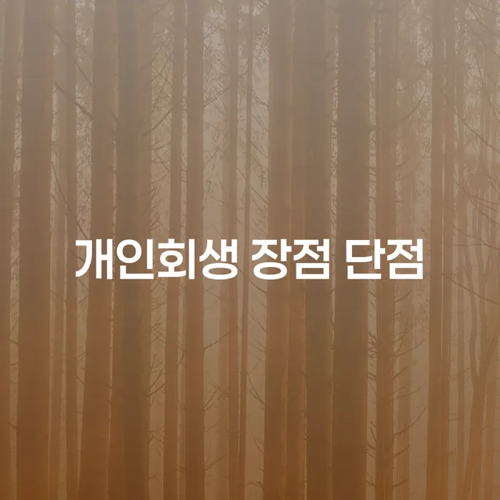 방배3동 개인회생의 장점과 단점을 고려한 효과적인 재정 관리 방법