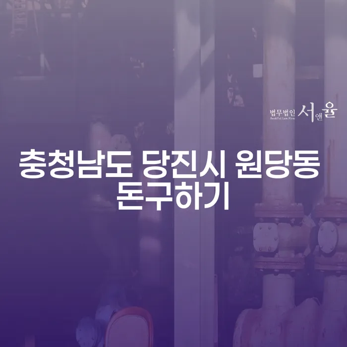 충청남도 당진시 원당동에서 돈을 구하는 올바른 방법은 무엇일까요?