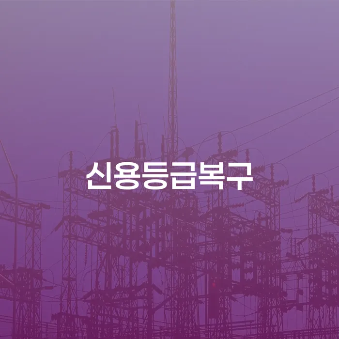 신용등급을 복구하기 위해 코인빚 4억원을 개인회생으로 해결할 수 있을까요?